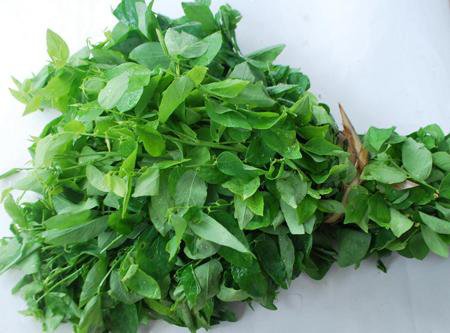 nuoc ep rau ngot co tot cho suc khoe khong dspl8