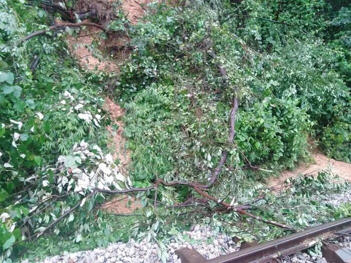 doan duong sat bac nam qua ha tinh treo lo lung vi sat lo nhieu doan tau phai dung cho 5 doan duong sat bac nam qua ha tinh treo lo lung vi sat lo nhieu doan tau phai dung cho 5