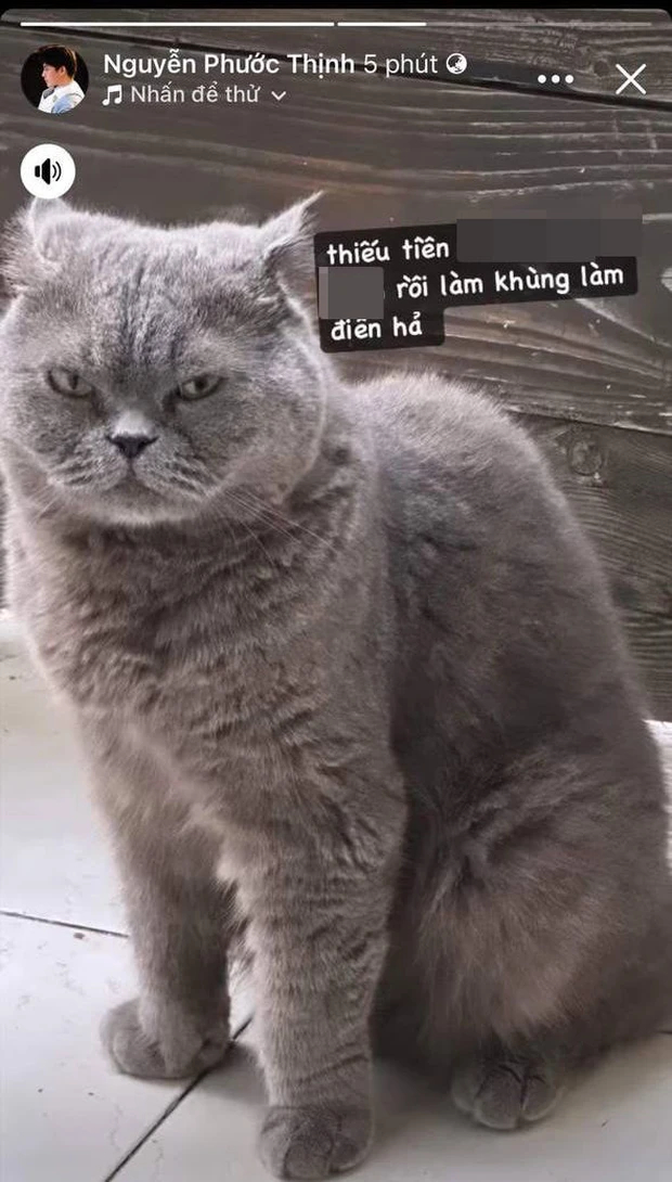 vi sao moi quan he cua do hieu va noo phuoc thinh lai cang thang nhu tai 3 vi sao moi quan he cua do hieu va noo phuoc thinh lai cang thang nhu tai 3