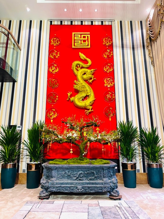 sao viet trang hoang nha cua don xuan 2024 3