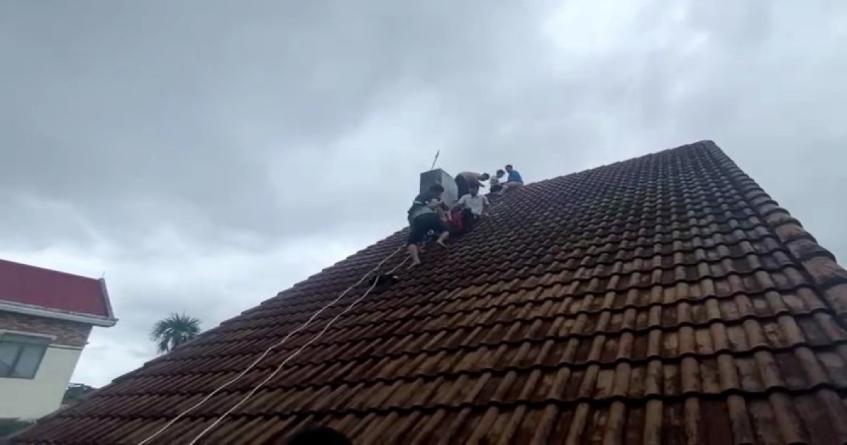 quang ngai nam sinh lop 6 bi dien giat tu vong tren mai ton quang ngai nam sinh lop 6 bi dien giat tu vong tren mai ton