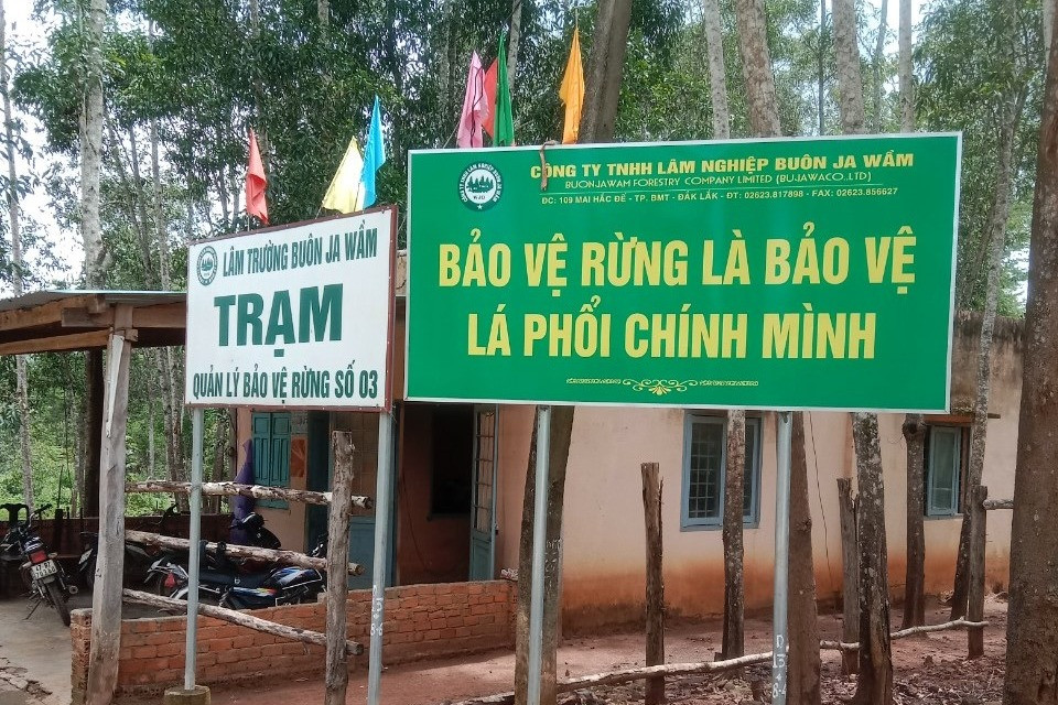 dieu tra lam ro viec nhan vien quan ly bao ve rung bi nhom nguoi la danh dap den nhap vien dieu tra lam ro viec nhan vien quan ly bao ve rung bi nhom nguoi la danh dap den nhap vien