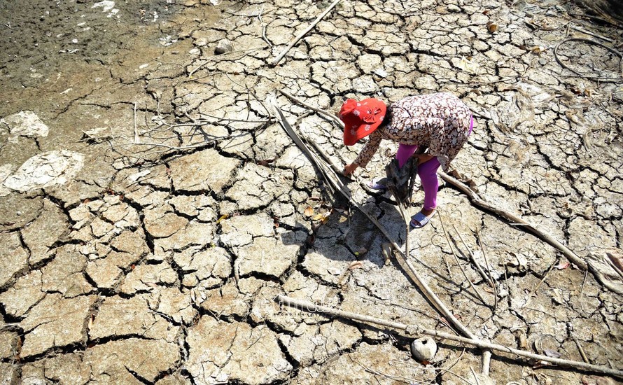 viet nam doi dien nguy co xay ra kho han cuc bo do anh huong cua el nino viet nam doi dien nguy co xay ra kho han cuc bo do anh huong cua el nino