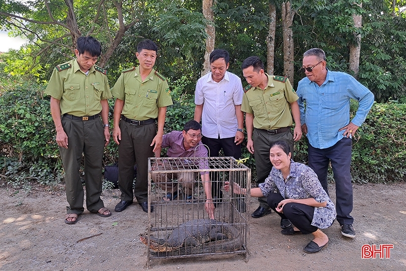 ky da nang 15kg bo vao nha dan la giong dong vat rung nguy cap quy hiem ky da nang 15kg bo vao nha dan la giong dong vat rung nguy cap quy hiem