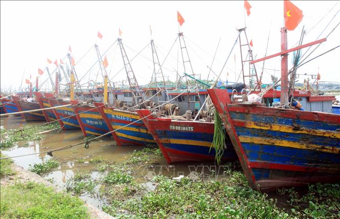 cac tinh keu goi tau thuyen o khu vuc nguy hiem ve noi tranh tru an toan ung pho voi bao so 1