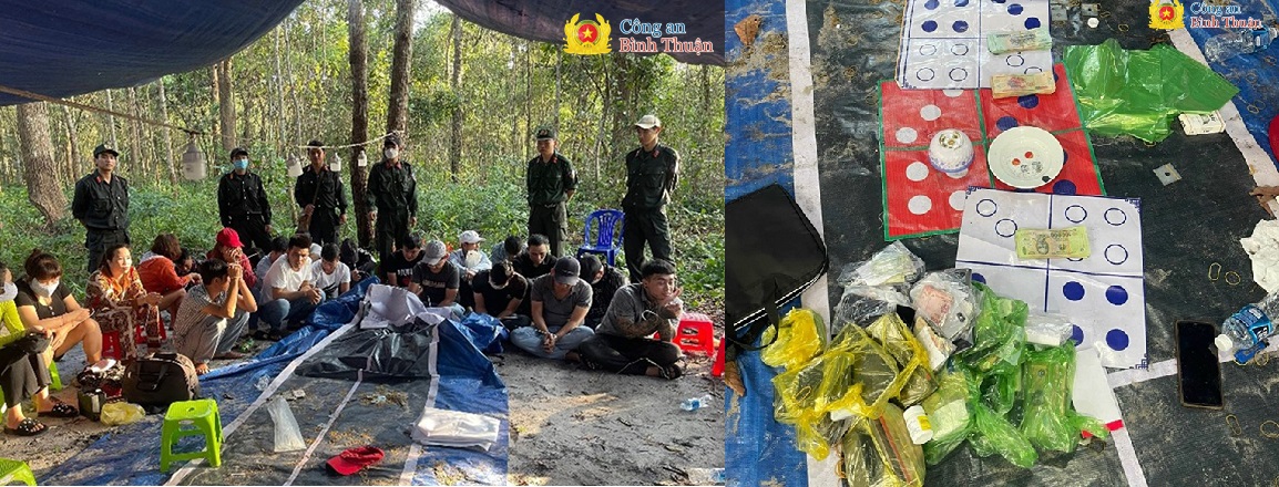 hien truong bat qua tang cac doi tuong to chuc danh bac trong rung hien truong bat qua tang cac doi tuong to chuc danh bac trong rung