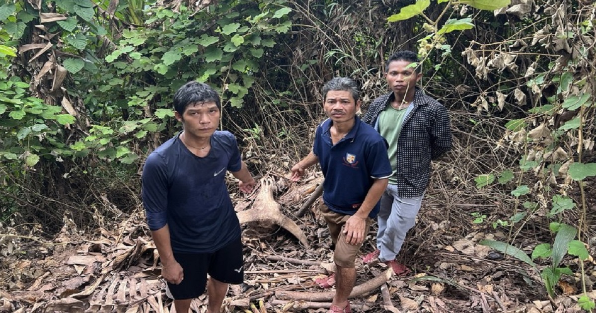 trieu tap 3 nguoi dan ong bat trom trau roi xe thit chia nhau o quang binh trieu tap 3 nguoi dan ong bat trom trau roi xe thit chia nhau o quang binh