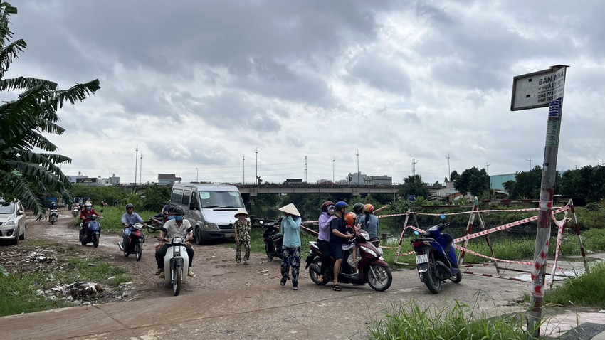 cay xanh rac troi theo dong nuoc mac ket keo sap cau dan sinh tai tphcm3 cay xanh rac troi theo dong nuoc mac ket keo sap cau dan sinh tai tphcm3