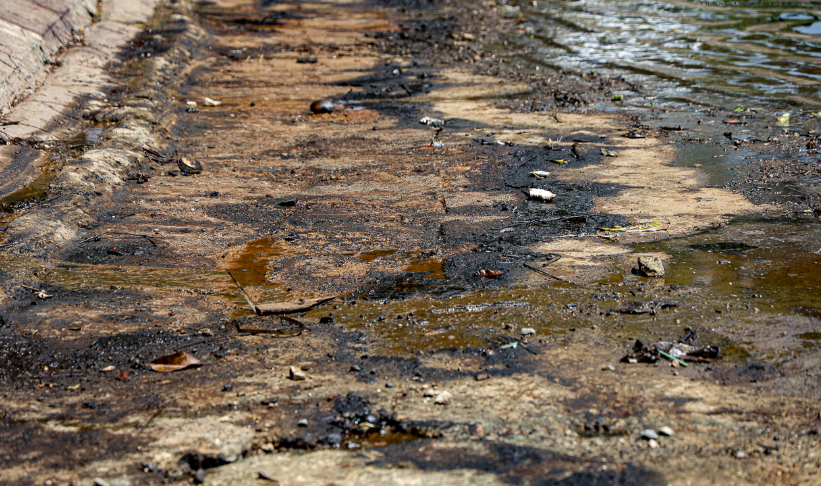 truy tim nguyen nhan gay ra lop dau loang den kit bao phu mat ho linh dam3