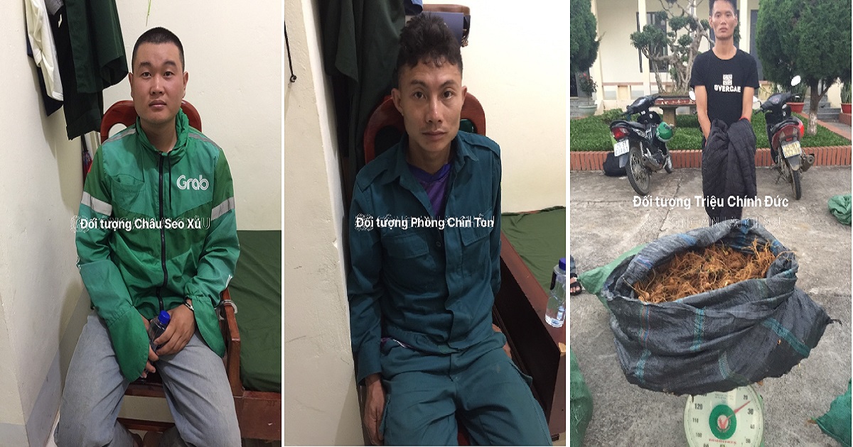 bat nhom doi tuong nhap lau sam tu trung quoc ve gan mac sam lai chau2 bat nhom doi tuong nhap lau sam tu trung quoc ve gan mac sam lai chau2