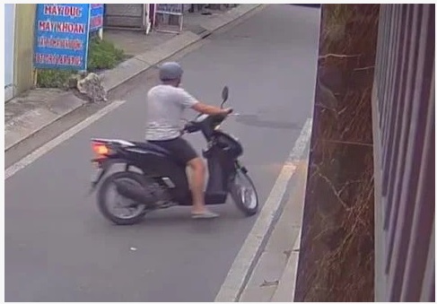 tin tuc an ninh hinh su 5 12 2023 vay bat doi tuong nem tui xach chua 55 000 vien ma tuy tau thoat1