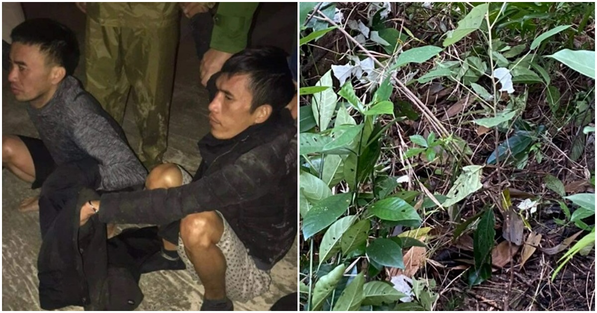 lan dau 2 doi tuong toi pham truy na tu nhung vet chan trong rung thong11 lan dau 2 doi tuong toi pham truy na tu nhung vet chan trong rung thong11