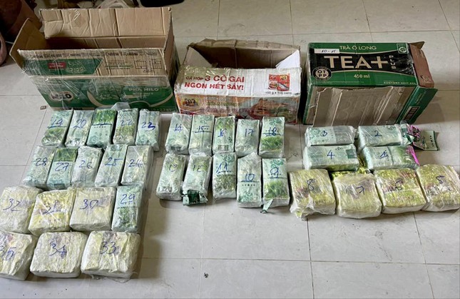 tin tuc an ninh hinh su 8 1 2024 tam giu doi tuong nhieu lan xam hai be gai 12 tuoi
