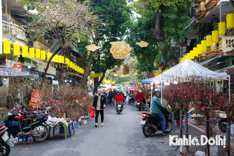 khong gian ruc ro cua cho hoa hang luoc nhung ngay can tet giap thin 2024