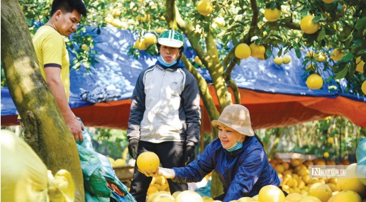 bo truong bo nn ptnt le minh hoan doi moi ma khong bi phan doi thi khong con la moi nua2