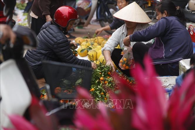 cho nua giu gin khong khi tet xua cua vung que bac bo14