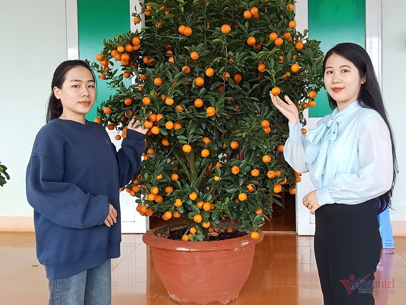 niem mong moi cua 3 anh em ruot tinh nguyen len duong nhap ngu1 niem mong moi cua 3 anh em ruot tinh nguyen len duong nhap ngu1
