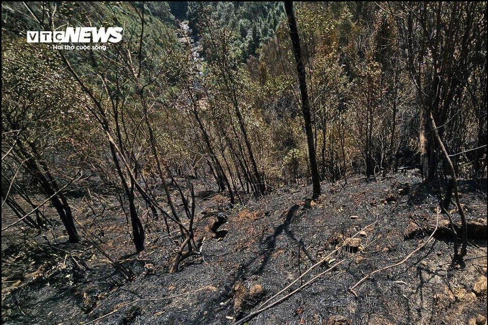 phat hien them mot dam chay lon o vuon quoc gia hoang lien4