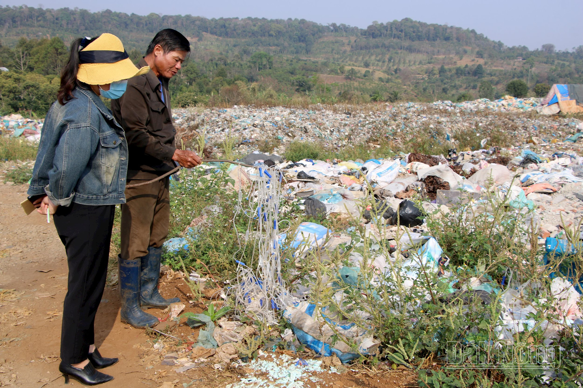ron nguoi canh kim tiem nam la liet tai bai rac dan sinh o dak nong8