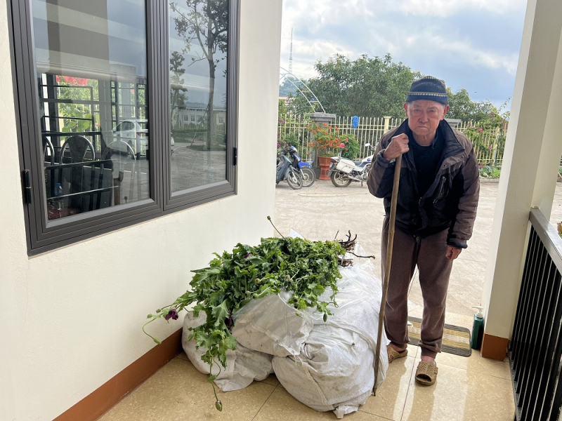 tin tuc an ninh hinh su 16 3 2024 phat hien lao ong trong 750 cay thuoc phien trong vuon nha tin tuc an ninh hinh su 16 3 2024 phat hien lao ong trong 750 cay thuoc phien trong vuon nha