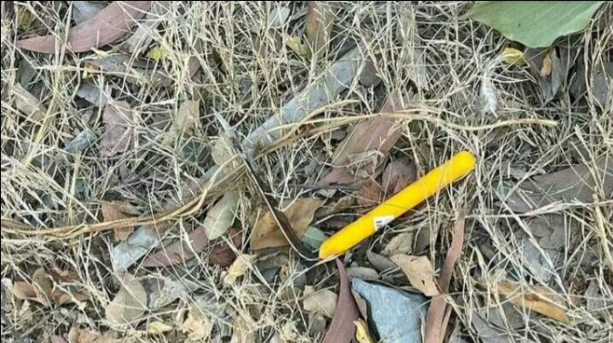 nguoi phu nu bi dam guc giua duong bat ngo danh tinh nghi pham2 nguoi phu nu bi dam guc giua duong bat ngo danh tinh nghi pham2