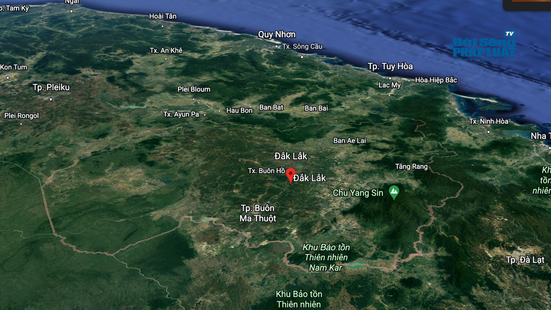 tin sau rieng00001101still008 tin sau rieng00001101still008