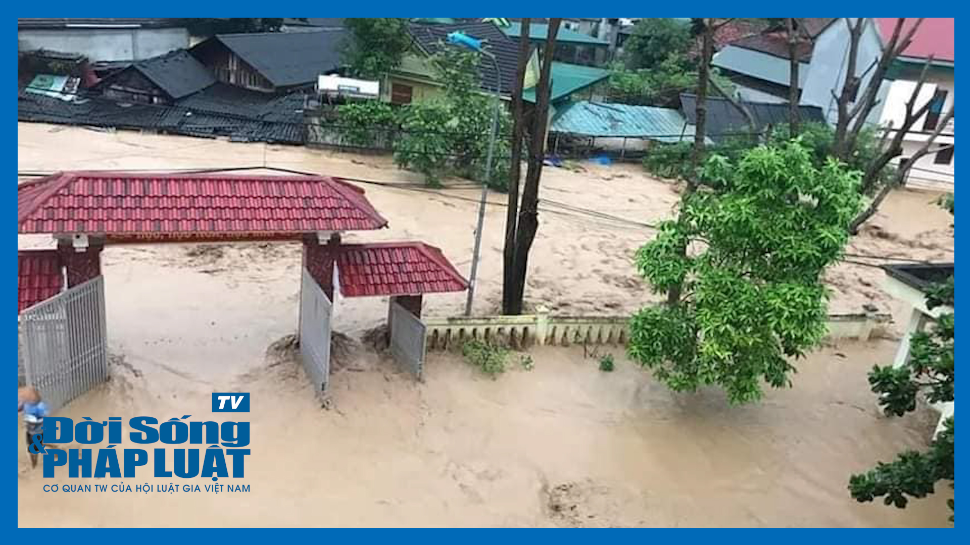 tin sau rieng00062613still018 tin sau rieng00062613still018
