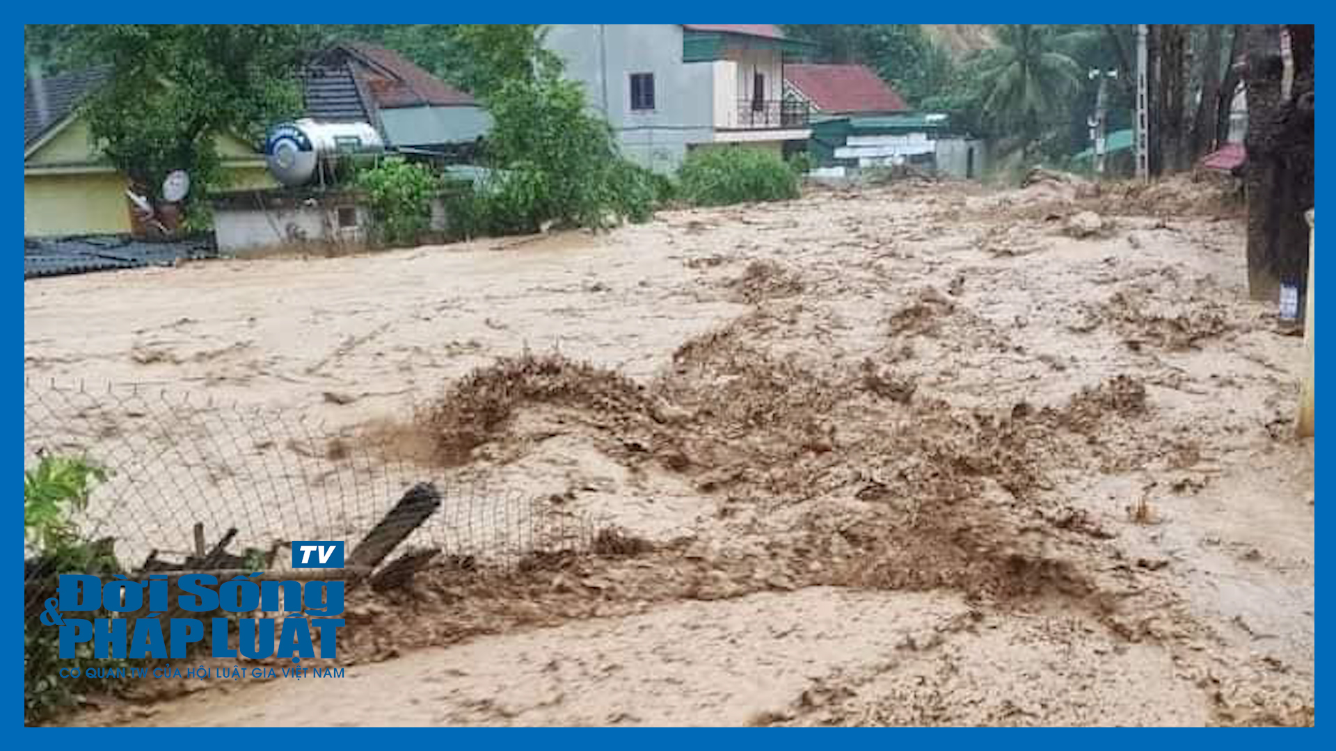 tin sau rieng00062613still019 tin sau rieng00062613still019