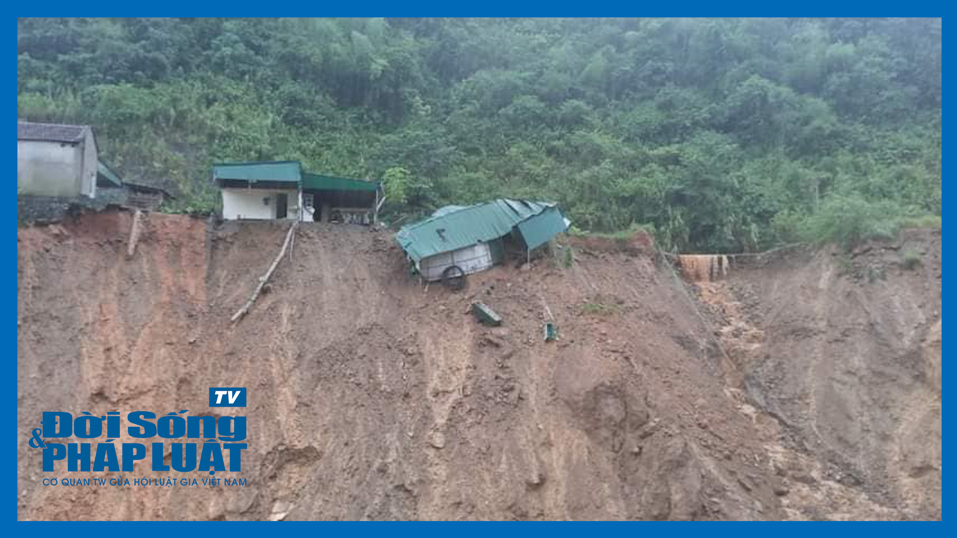 tin sau rieng00063805still016 tin sau rieng00063805still016