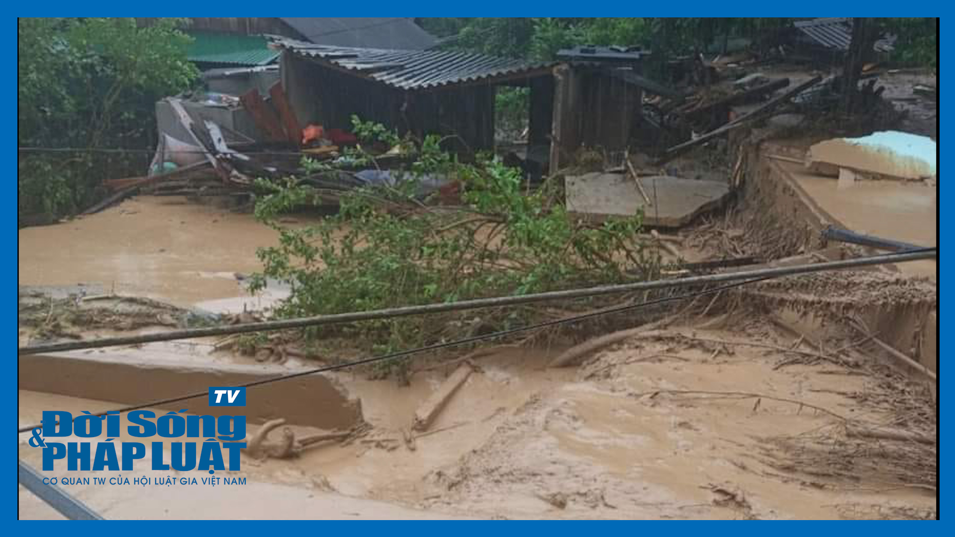 tin sau rieng00064011still015 tin sau rieng00064011still015