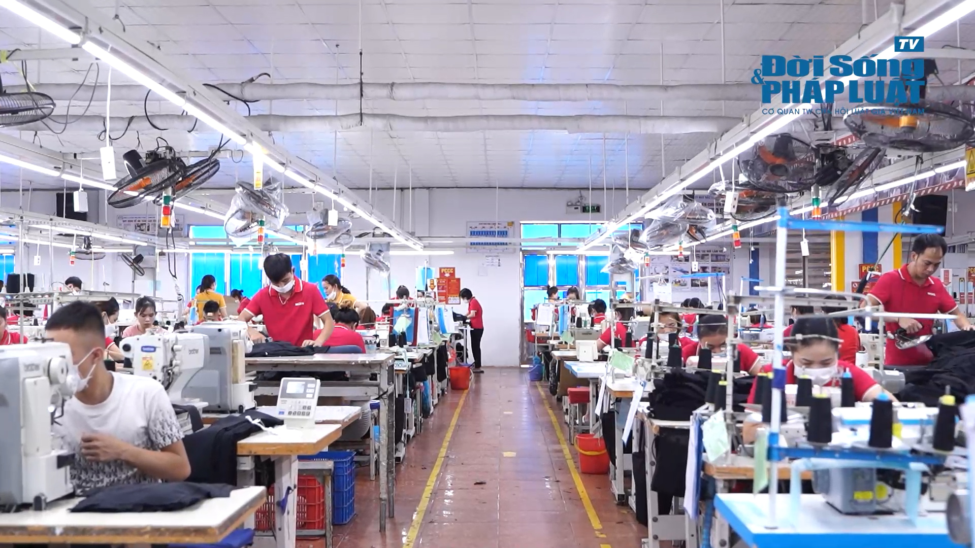 bgg 1 plds00012357still004