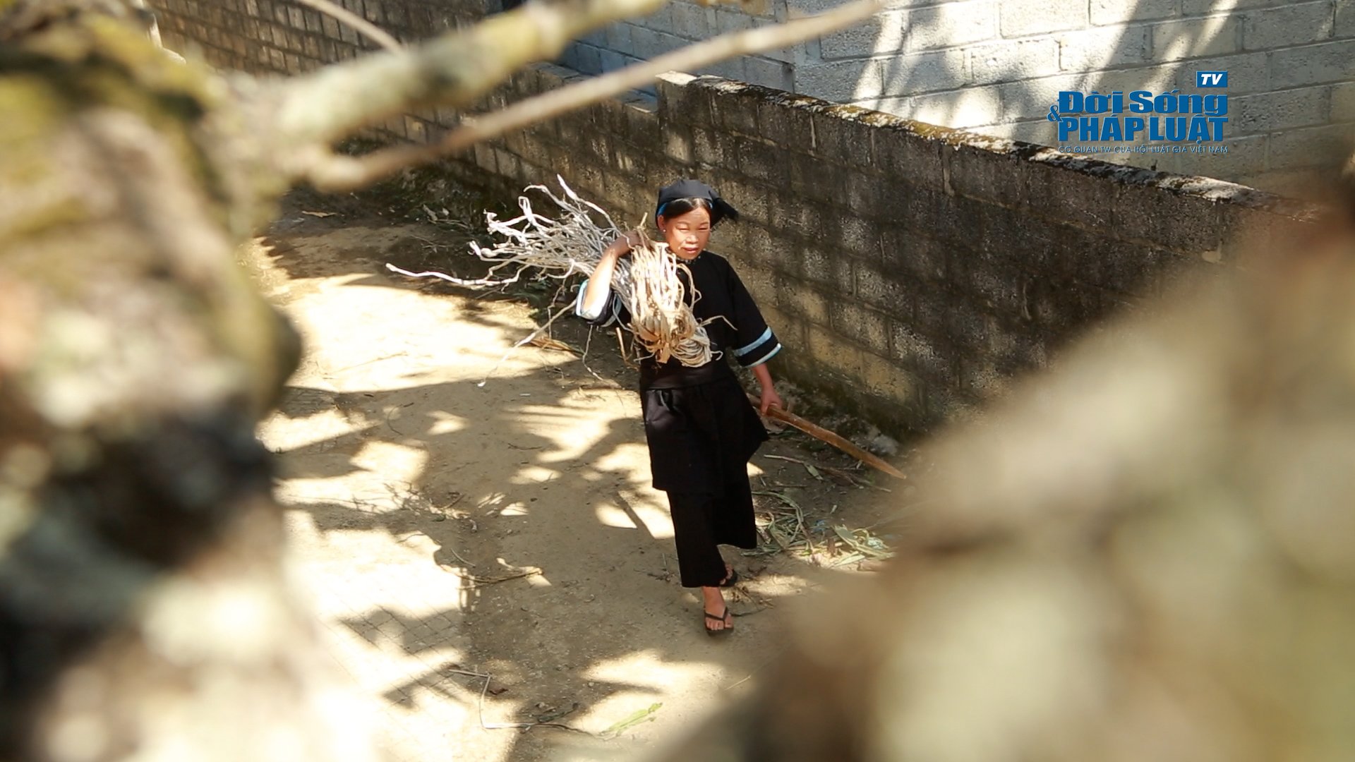 b8e356bb1ab9c1e798a89 b8e356bb1ab9c1e798a89