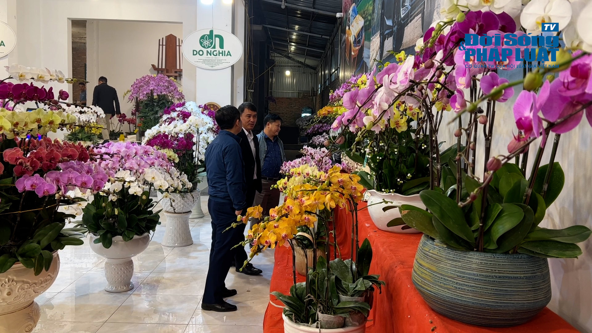 file20230116155208hoa lan 100001313still002 file20230116155208hoa lan 100001313still002