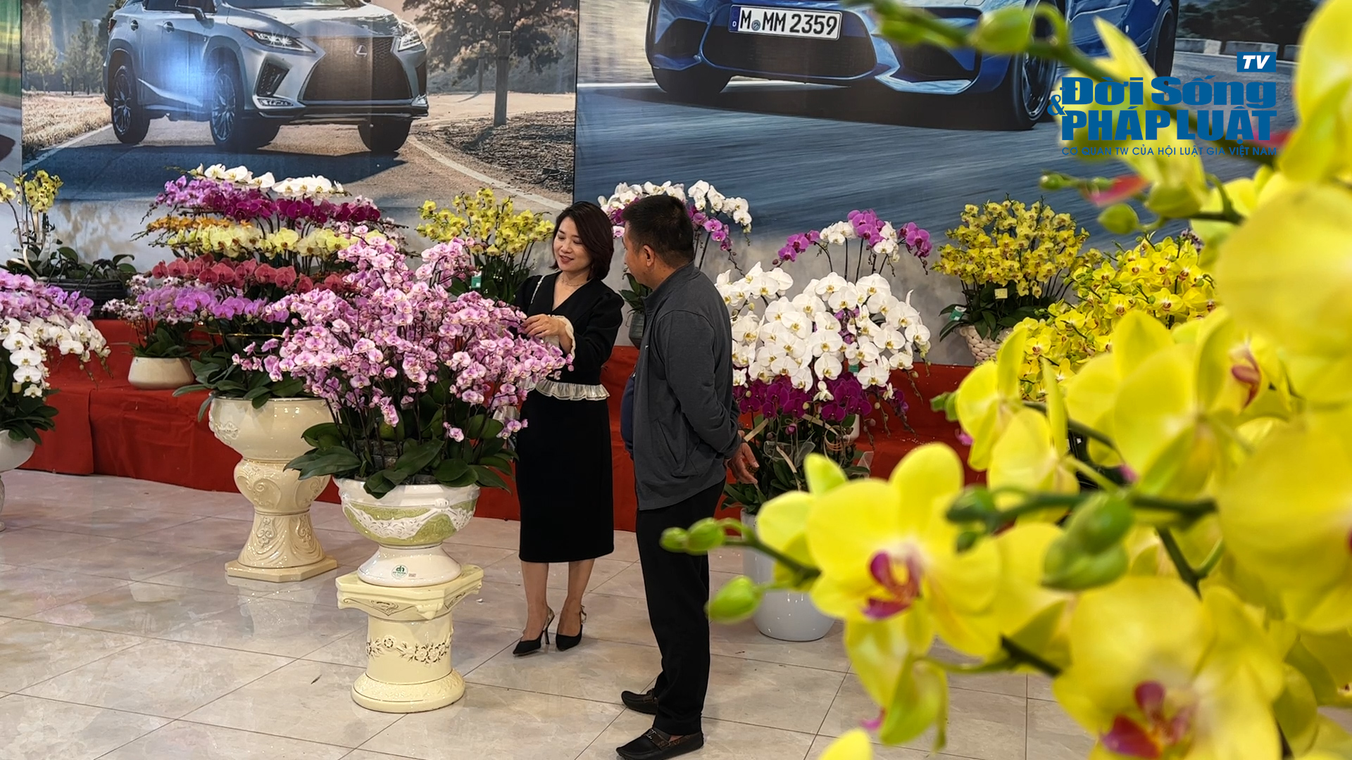 file20230116155208hoa lan 100010022still006 file20230116155208hoa lan 100010022still006