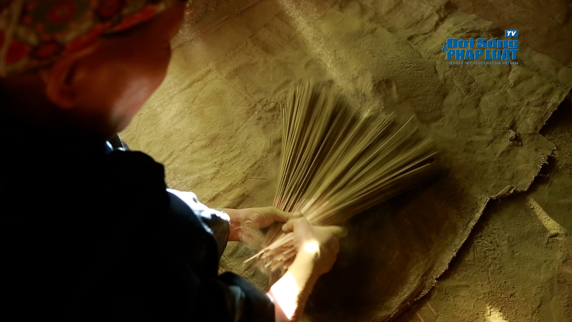 204a884aa6437d1d245225