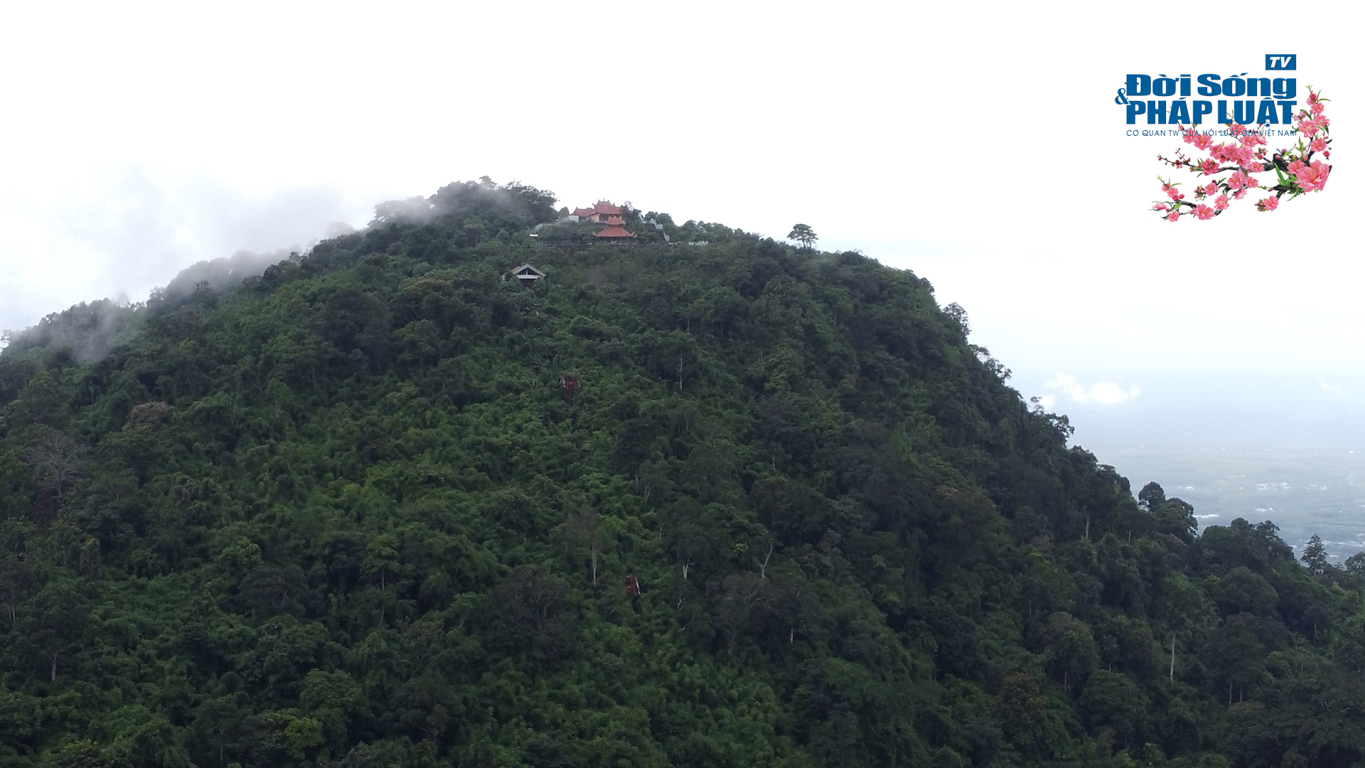 003 atgt 100001017still032 003 atgt 100001017still032