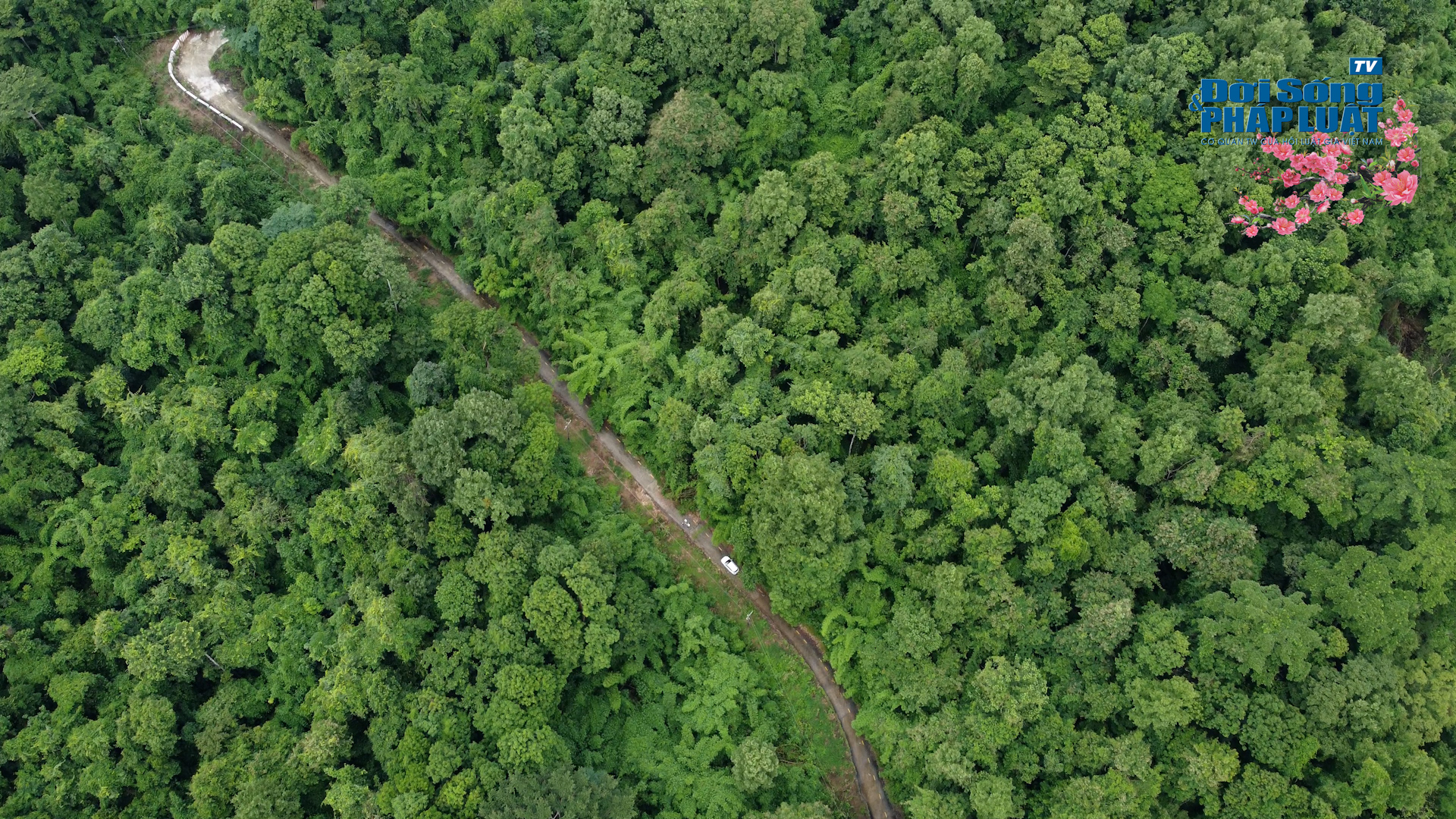 003 atgt 100005502still035 003 atgt 100005502still035