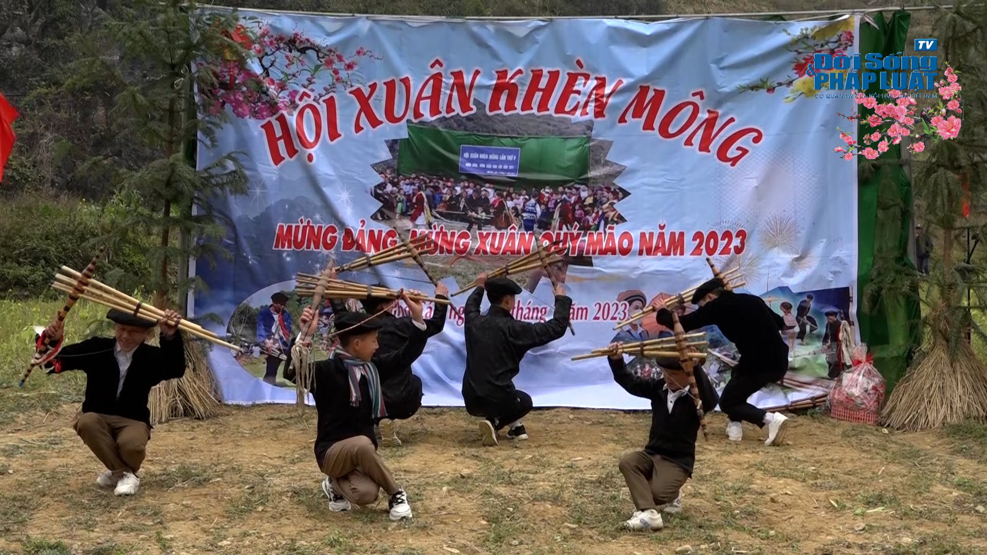 file20230116155208hoa lan 100133725still015 file20230116155208hoa lan 100133725still015