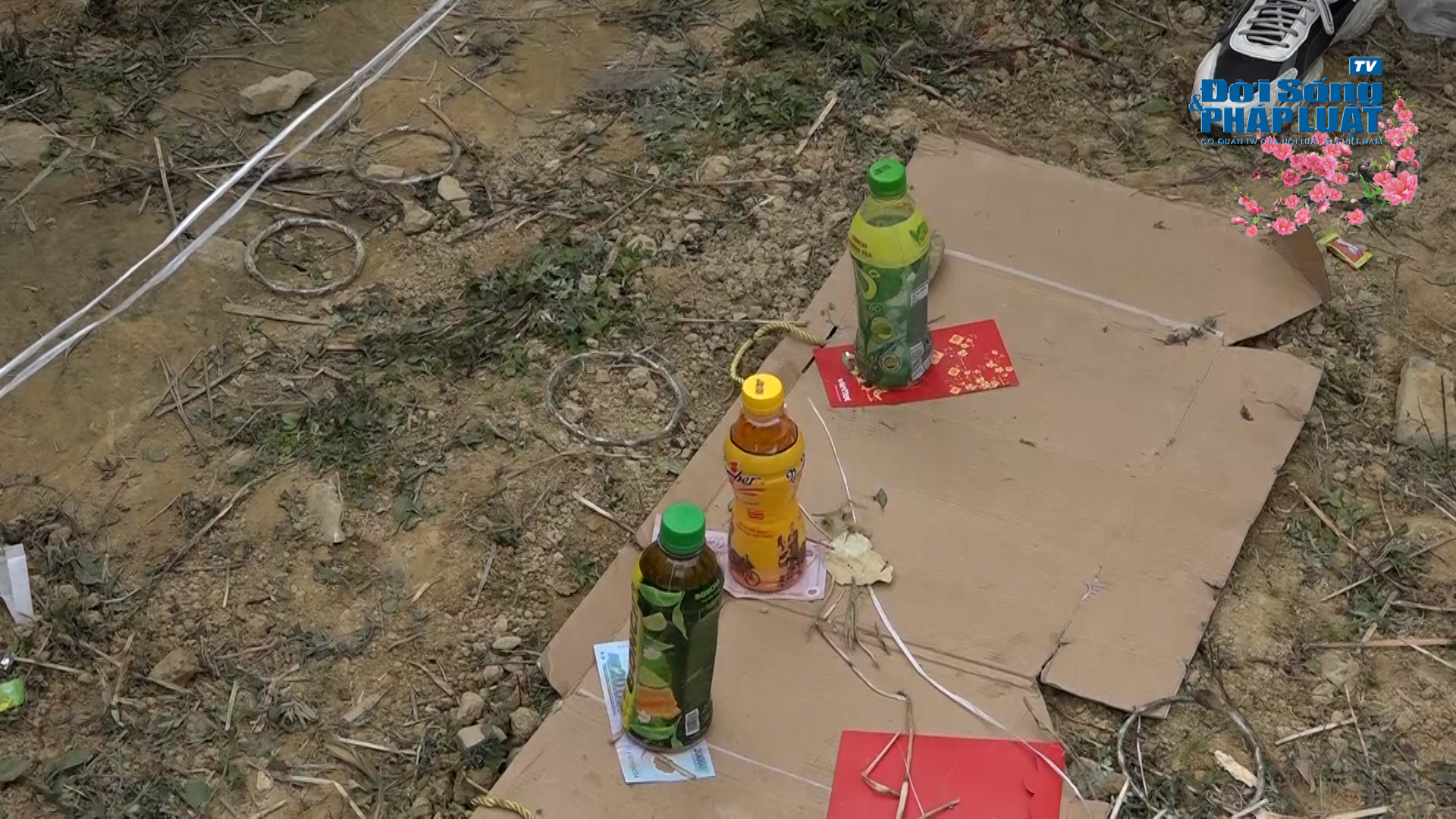 file20230116155208hoa lan 100141516still020 file20230116155208hoa lan 100141516still020