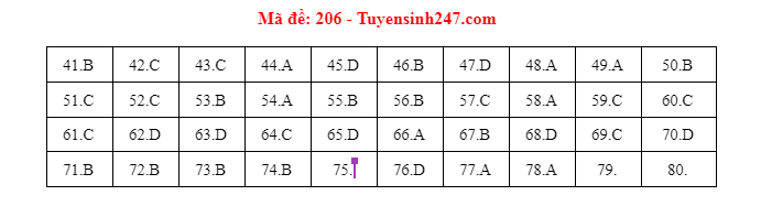 hoa hoc ma de 206 hoa hoc ma de 206