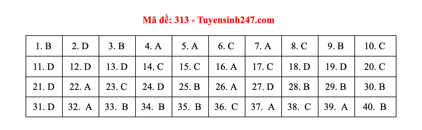 lich su 313 dspl lich su 313 dspl