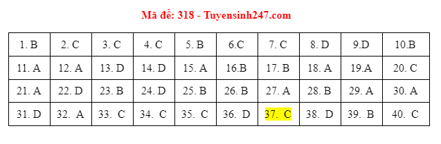 lich su 318 dspl lich su 318 dspl