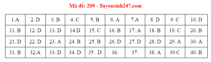 vay ly 209 vay ly 209