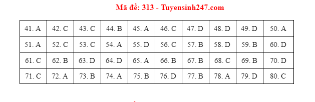 dia ly 313 dspl dia ly 313 dspl