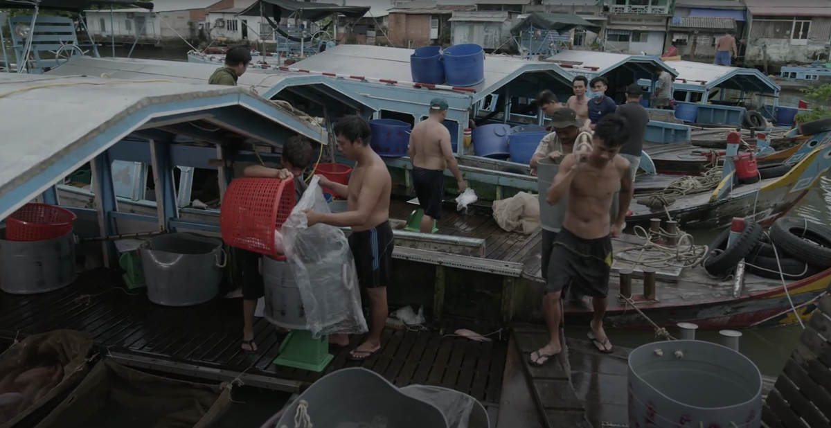 trang ti huu khang xuat hien trong phim ngan ga hoan luong3 trang ti huu khang xuat hien trong phim ngan ga hoan luong3