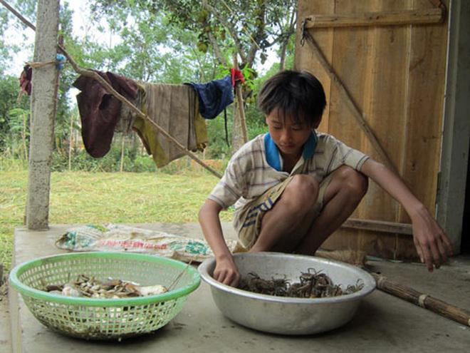 khong chiu ngoi khong vi dich covid 19 cau be mo coi nhan nut bac youtube1 khong chiu ngoi khong vi dich covid 19 cau be mo coi nhan nut bac youtube1