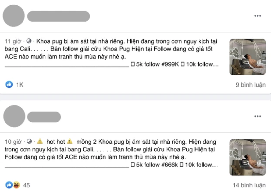 xon xao thong tin khoa pug bi am sat tai nha rieng sau clip to johnny dang 1 xon xao thong tin khoa pug bi am sat tai nha rieng sau clip to johnny dang 1