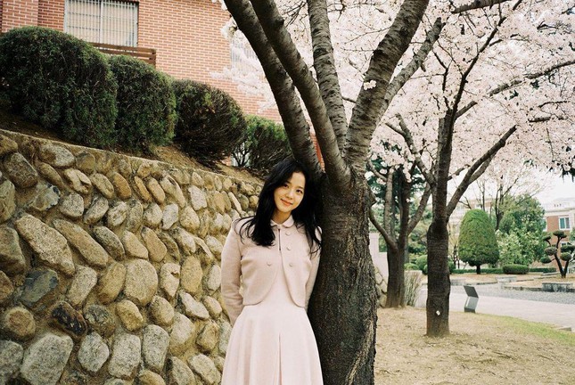 jisoo blackpink va jung hae in dang anh ngot ngao tiep tuc vuong nghi van hen ho4 jisoo blackpink va jung hae in dang anh ngot ngao tiep tuc vuong nghi van hen ho4