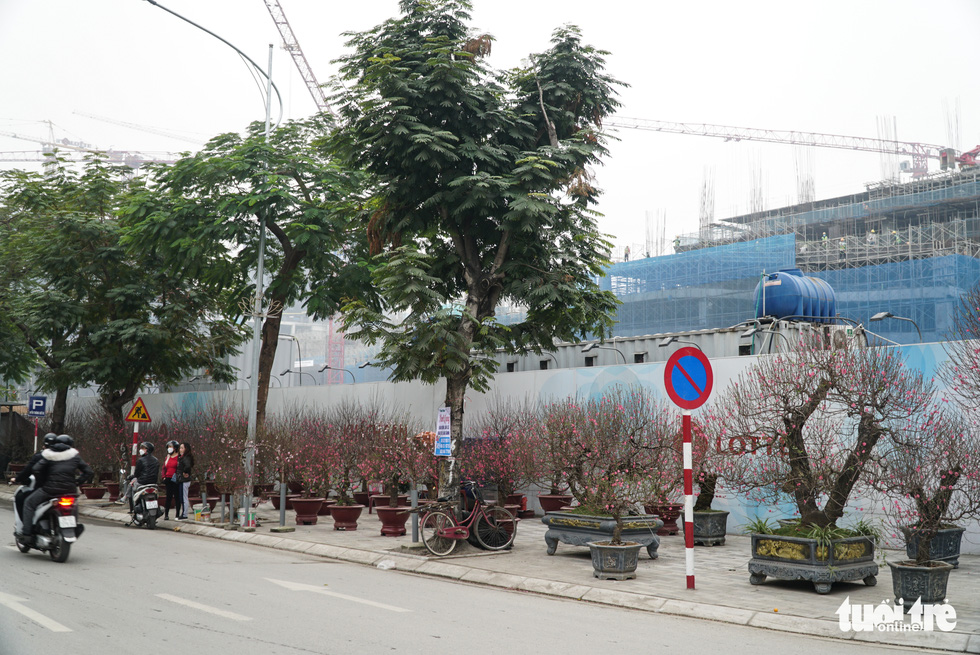 goc dao khong lo gia len toi 100 trieu dong phuc vu nguoi dan choi tet7