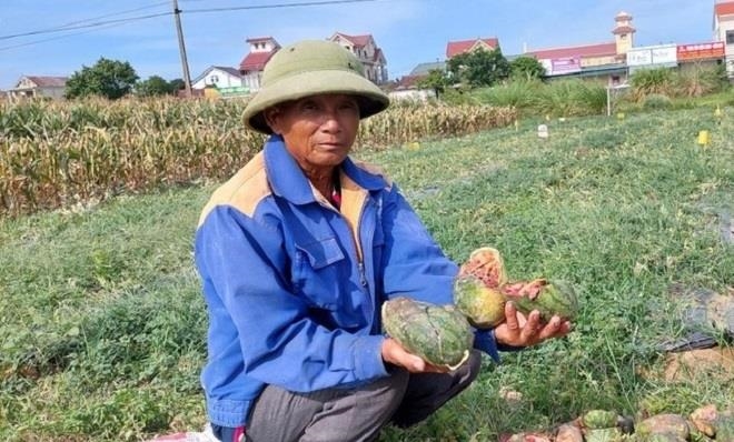3 thanh nien pha ruong dua duoc bao lanh de thi tot nghiep thpt2 3 thanh nien pha ruong dua duoc bao lanh de thi tot nghiep thpt2